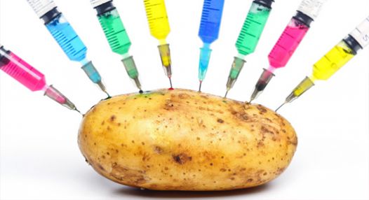 Geneticky modifikované potraviny – postrach dnešní doby nebo jen přehnané reakce?