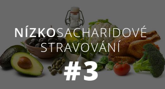 Zhubni do léta! Nízkosacharidovka #3 – Jak to vypadá v praxi?