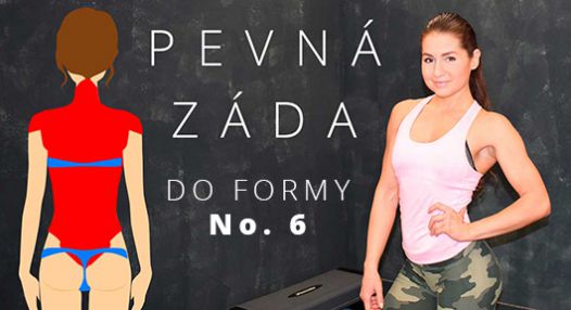 Do formy No. 6 – Pevná záda