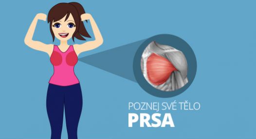 Poznej své tělo: Prsa! 4 skvělé cviky pro pevnější prsa