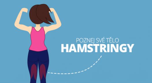 Poznej své tělo: Hamstringy! TOP 4 cviky na hamstringy a zadek