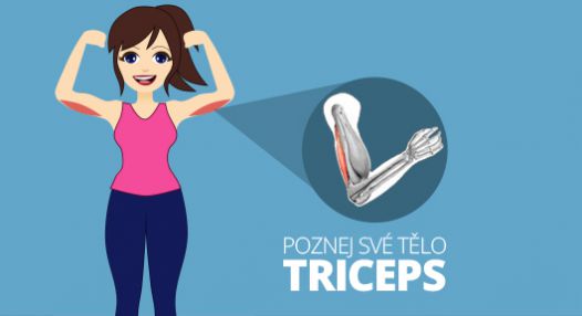 Poznej své tělo: Triceps! 4 efektivní cviky pro pevnější tricepsy
