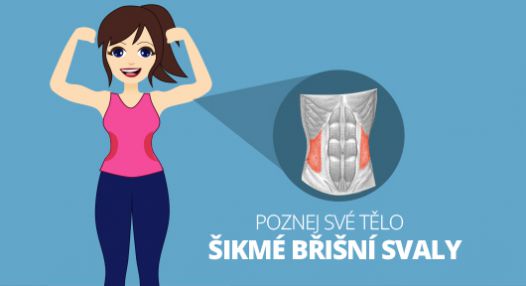 Poznej své tělo: Šikmé břišní svaly! 4 účinné cviky pro jejich zpevnění