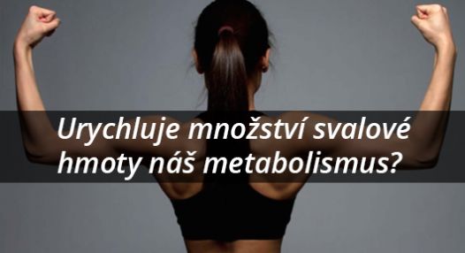Urychluje množství svalové hmoty náš metabolismus? 