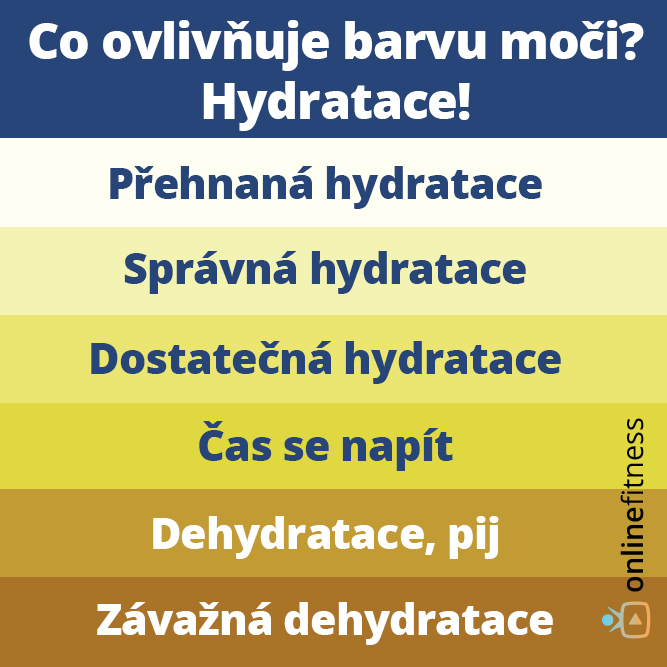 Jak poznat zdravou moč?